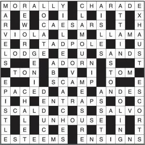 Crossword 16 - 5504