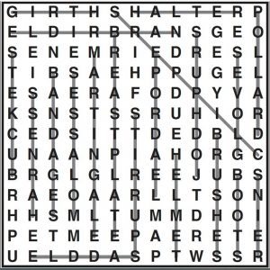 Wordsearch 4 [horse talk]