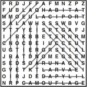 Wordsearch 5 [frog hop]