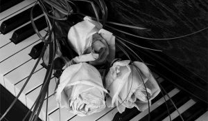 Black and white photo of roses on a piano