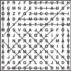 Wordsearch 16