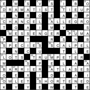 Crossword 78