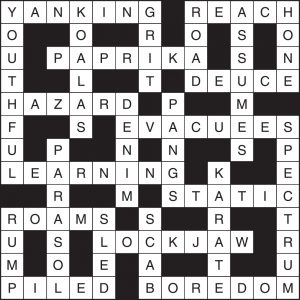 Crossword 192