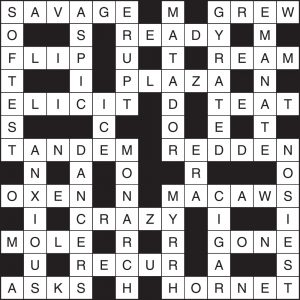 Crossword 197
