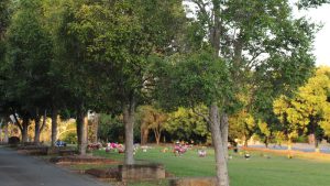 Alex Gow Funerals Albany Creek Cemetery