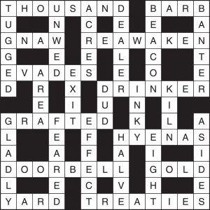 Crossword 221