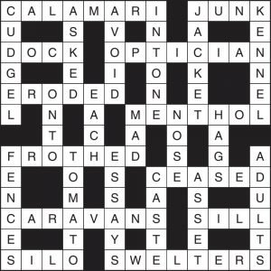 Crossword 237