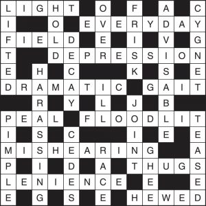 Crossword 238