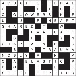 Crossword 247