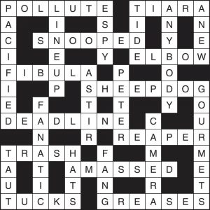 Crossword 251