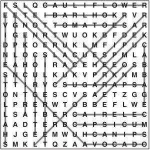 Wordsearch 74