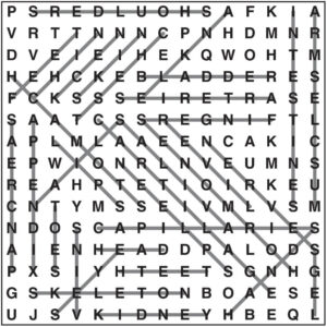 Wordsearch 94
