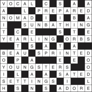 Crossword 343