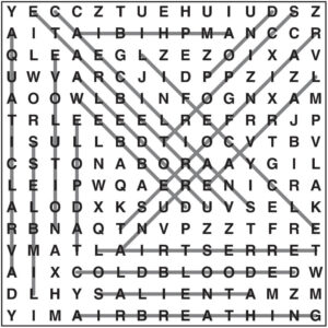 Wordsearch 101