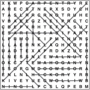 Wordsearch 102