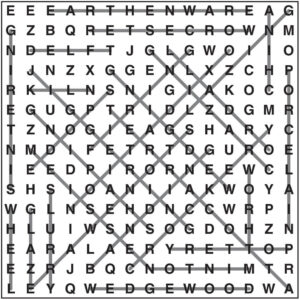 Wordsearch 111