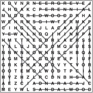 Wordsearch 112