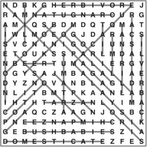 Wordsearch 113